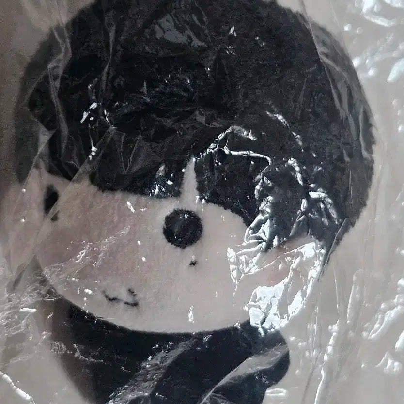 라이즈 앤톤 8cm 인형 tton님 안경 포함