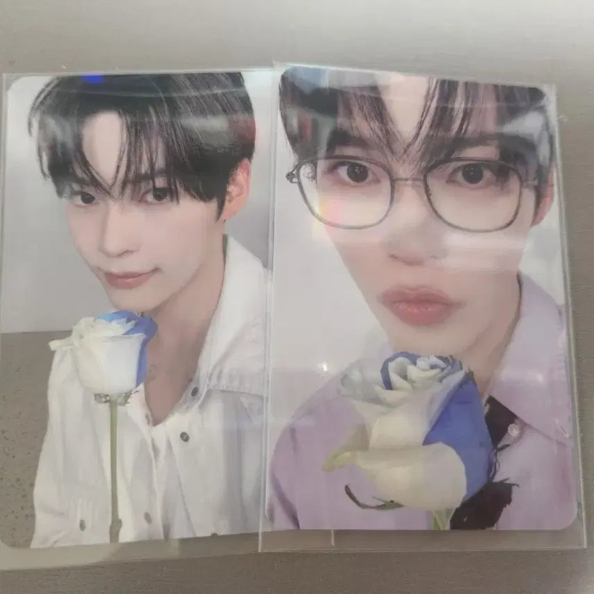 제로베이스원 성한빈 제로즈 3기 포가 일괄 양도해요