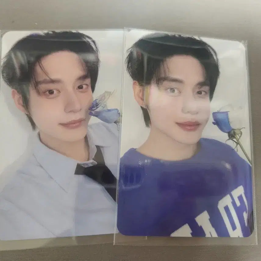 제로베이스원 김지웅 제로즈 3기 포카 일괄 양도해요