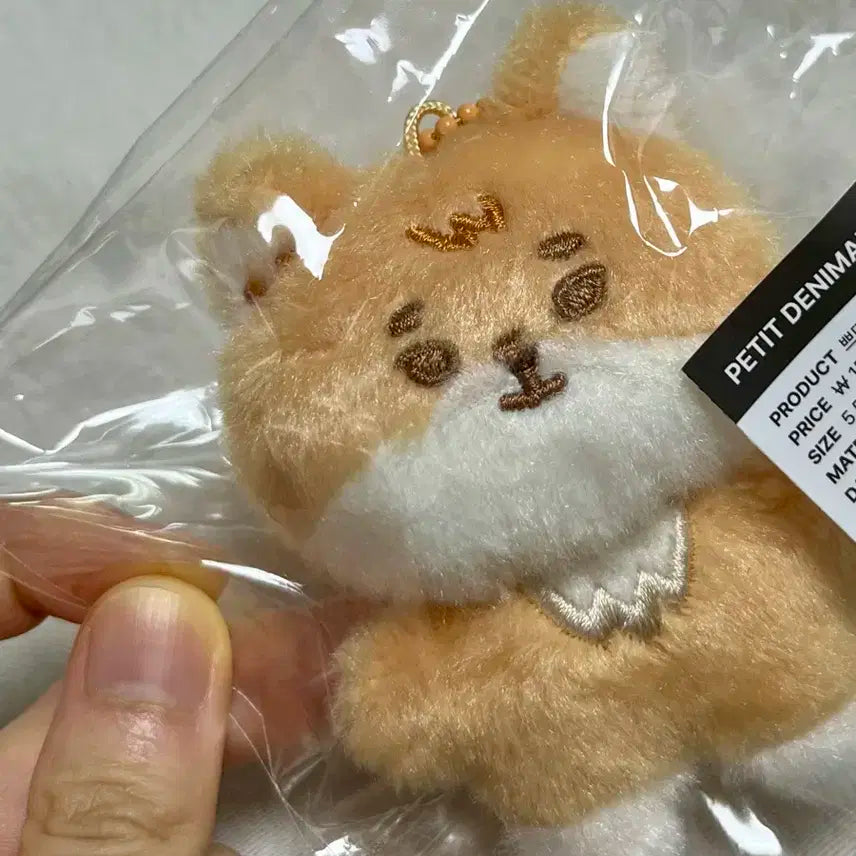 데이식스 데니멀즈 쁘띠멀즈 미니 쁘쁘멀 케 영케이