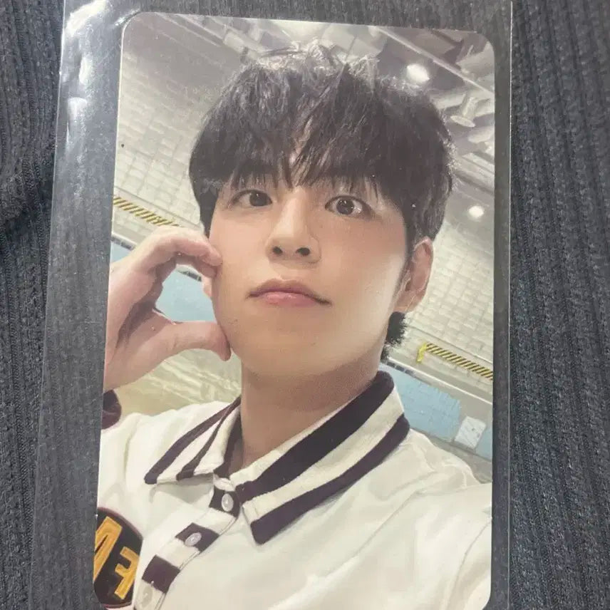 데이식스 10주년 투어 원필 포카