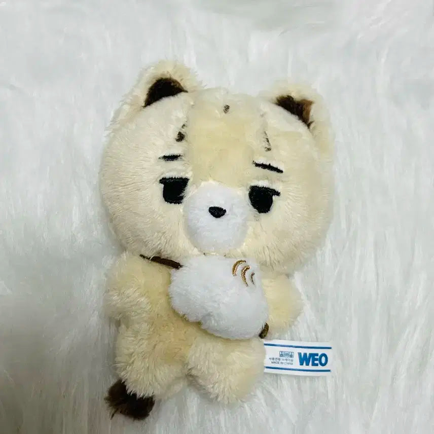 엔하이픈 니키 인향 아기 퓨니