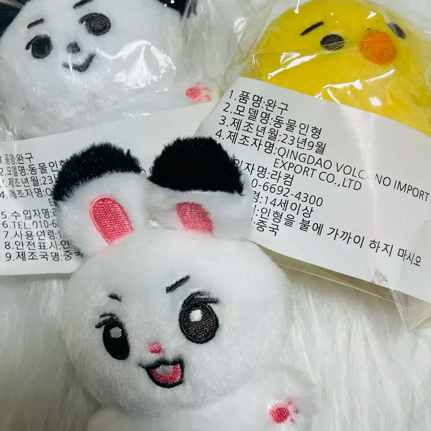 앤팀 케이 죠 하루아 인형 일괄 양도