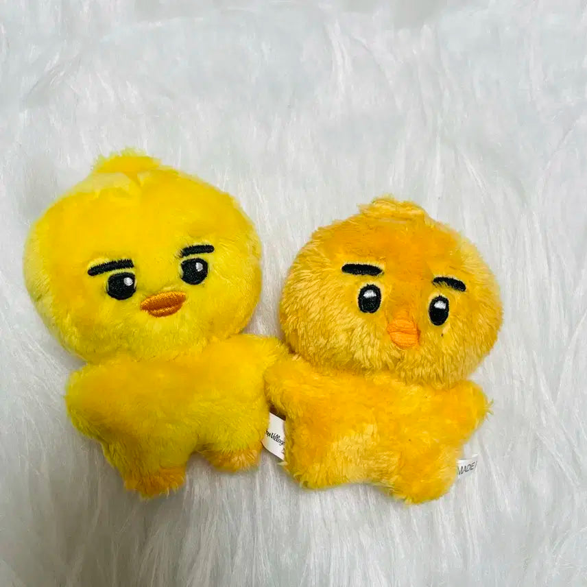 엔하이픈 니키 인형 일괄