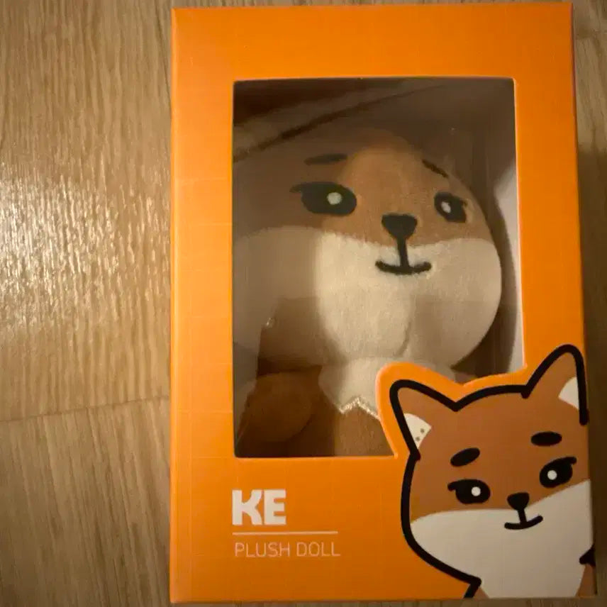 데이식스 영케이 24 케둥이