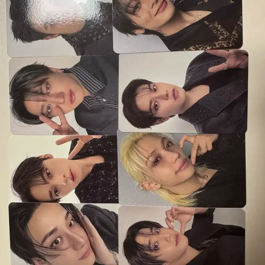 스트레이키즈 콘서트 첫콘 스테이존 포카 양도