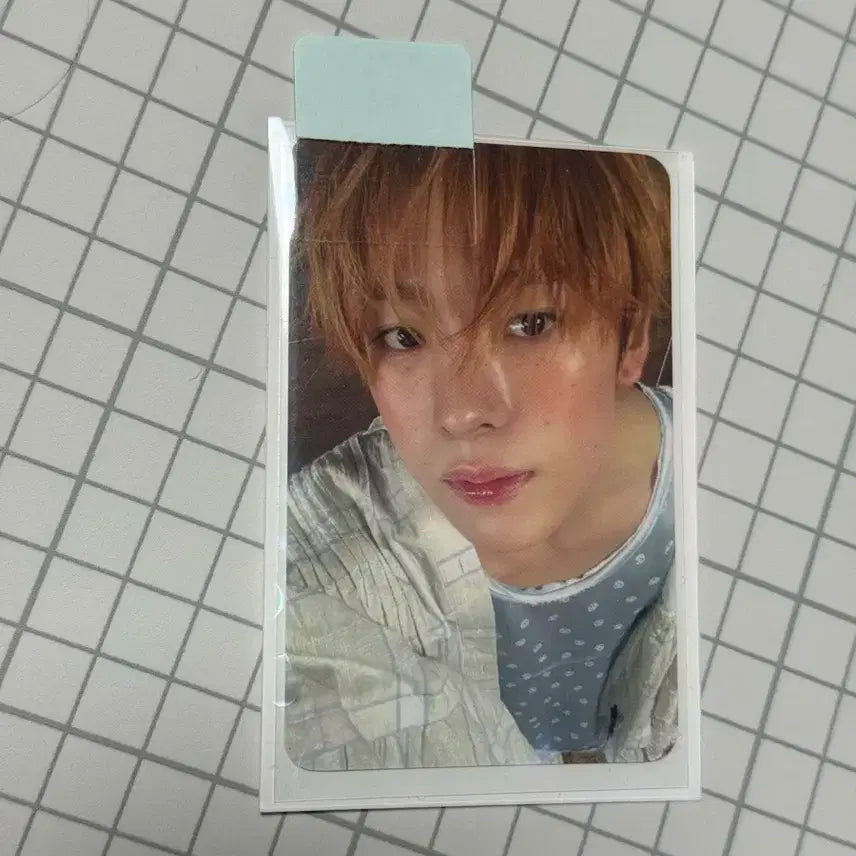 엔시티 위시 유우시 위드뮤 하타치 미공포 포카