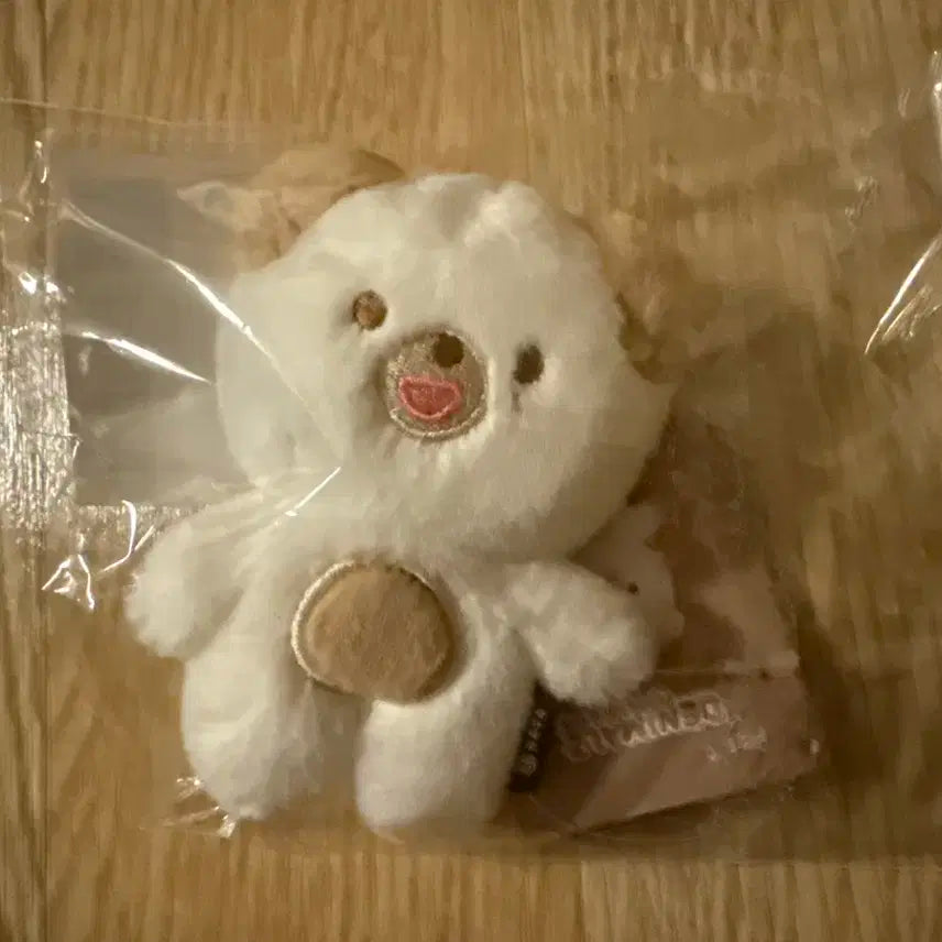 데이식스 도운 쁘띠멀즈 돈