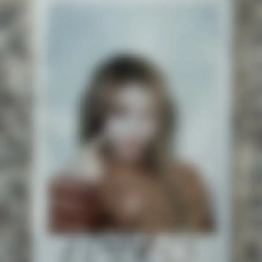 힛지스 비비 싸폴 싸인 폴라