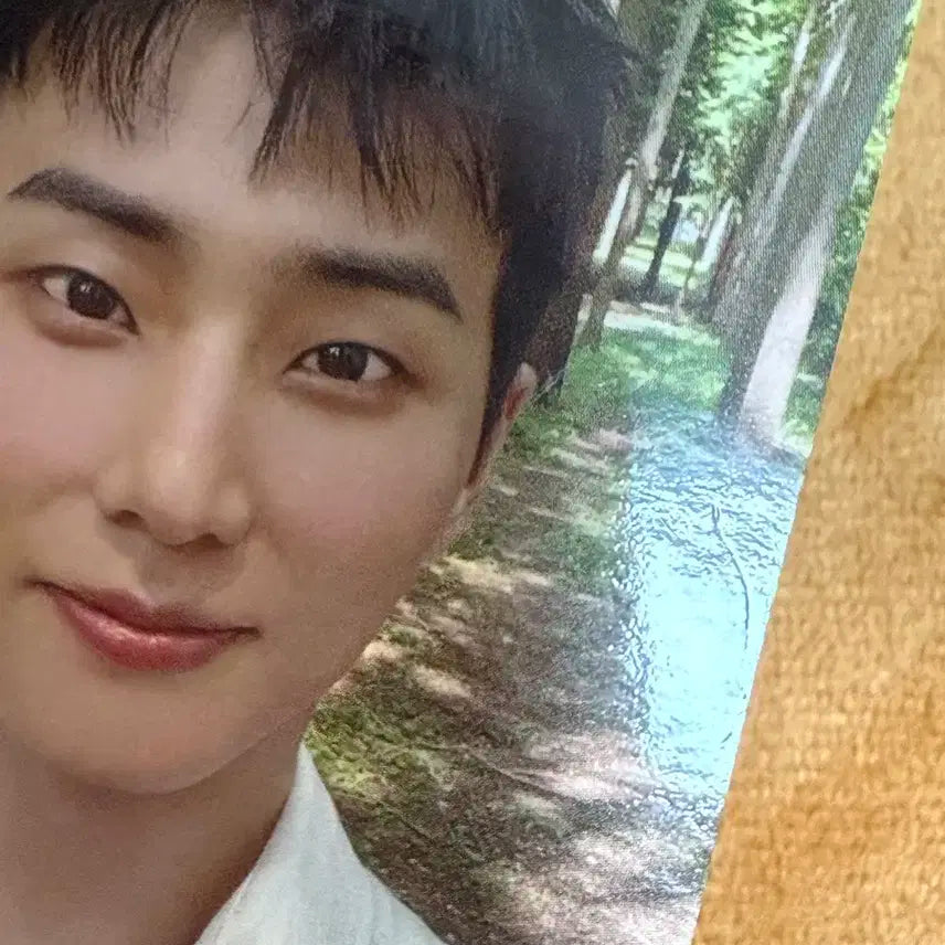 데이식스 영케이 레윗노 포카 일괄