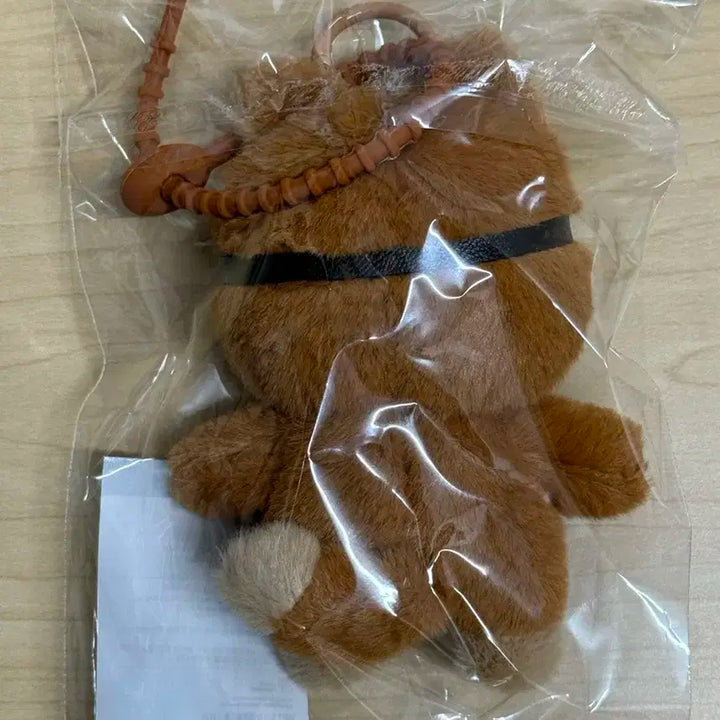 데이식스 쁘띠멀즈 태닝 케 영케이