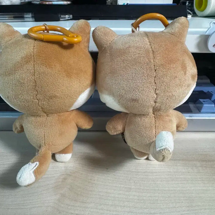 대니멀즈 케 일괄 양도