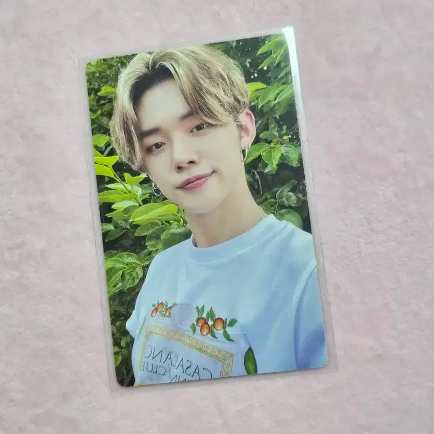 투바투 미드썸머 텐저린팜 연준 포카