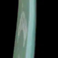 르세라핌 허윤진 흐리몽 FIM'S CLUB 포토카드 키링 + 포토카드