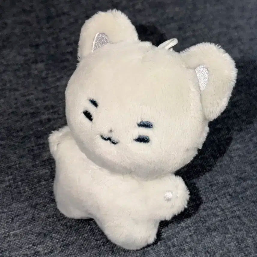 엑디즈 정수 둥코