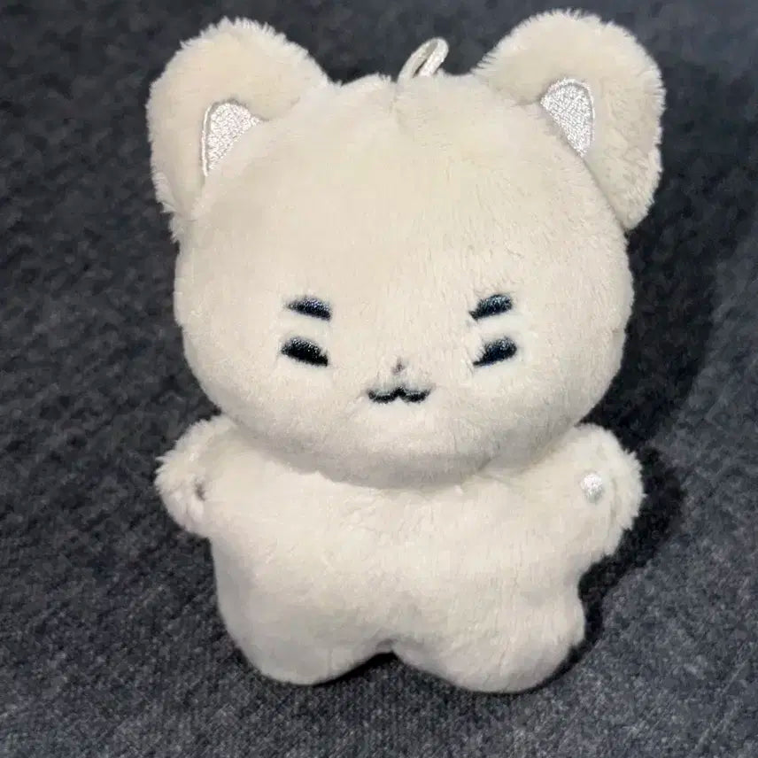 엑디즈 정수 둥코