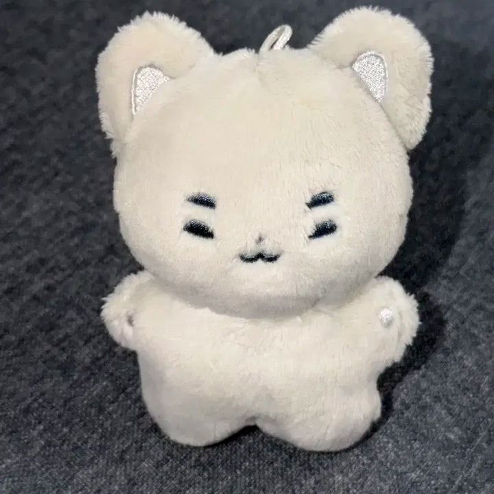 엑디즈 정수 둥코