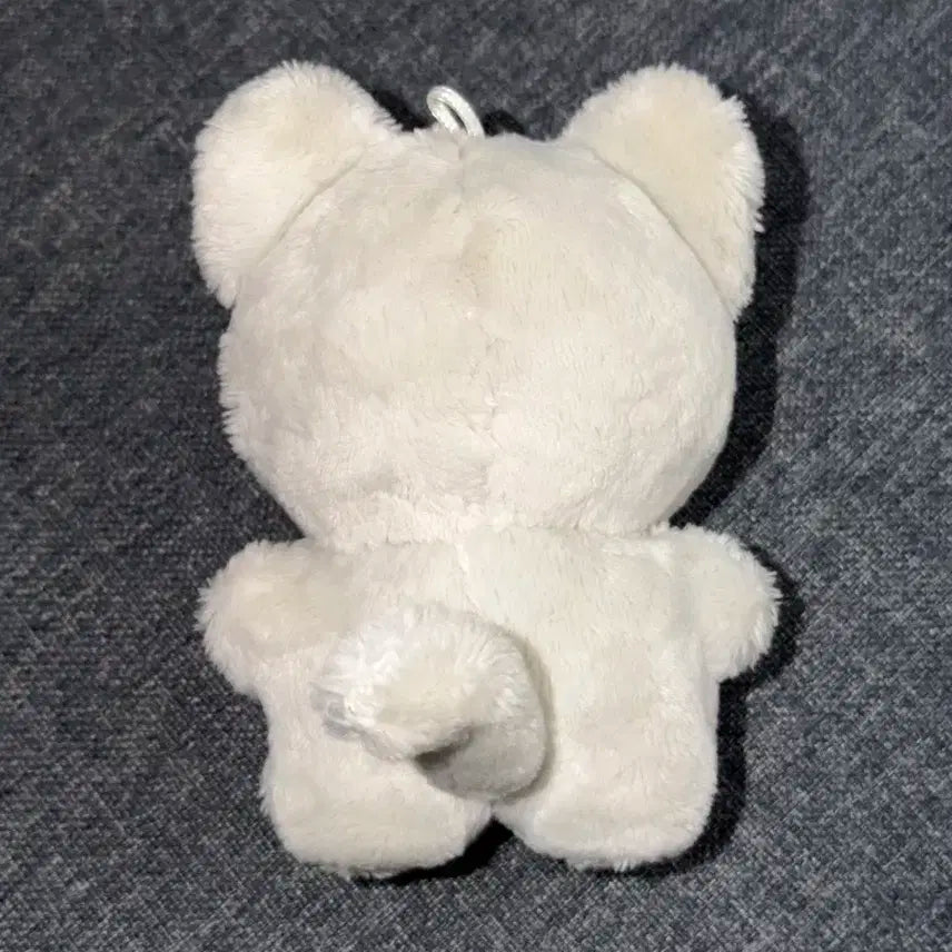 엑디즈 정수 둥코