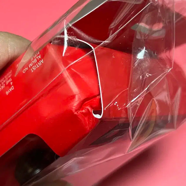 데이식스 성진 인이어