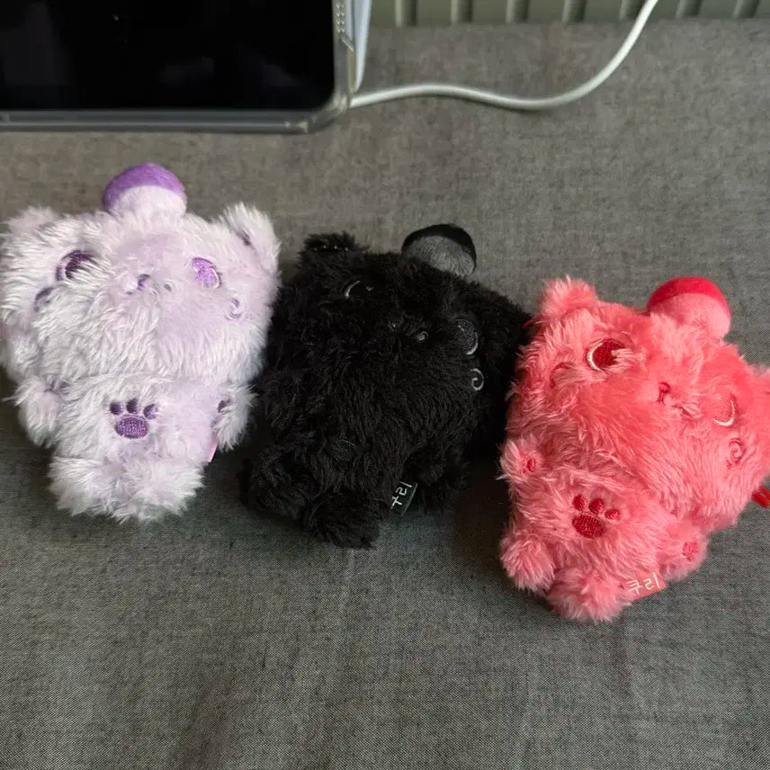 엔시티위시 컬러돌 위부부 리쿠 쿠리 시크릿 레드 퍼플 보라 일괄 양도