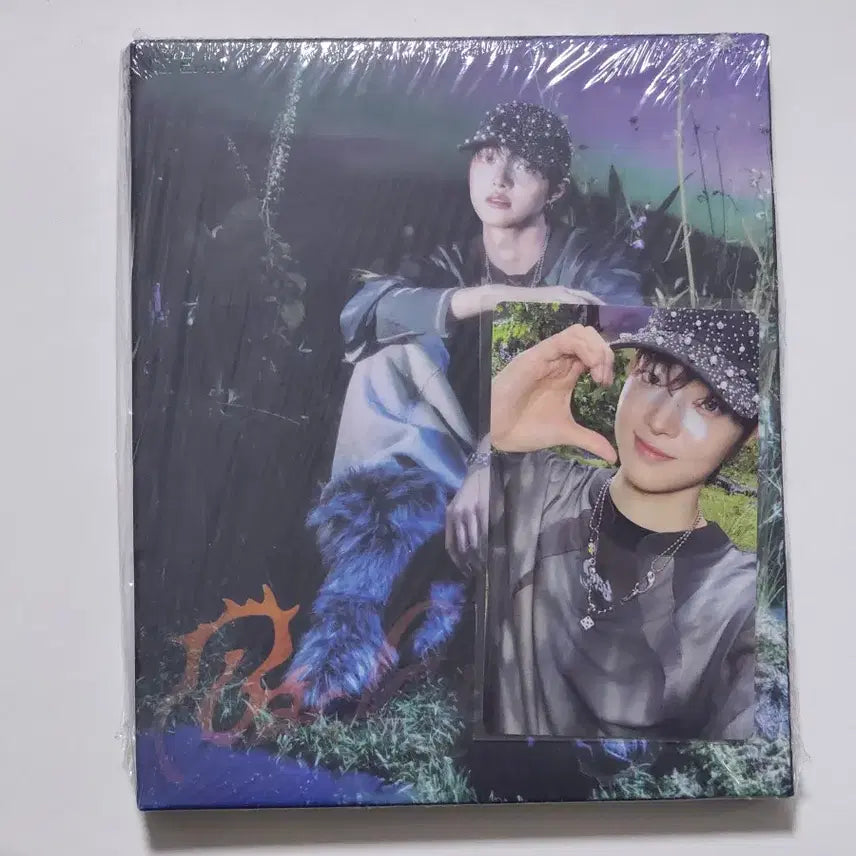 앤팀 의주 백투라이프 위버스 특전 포카 + roar 개인앨범