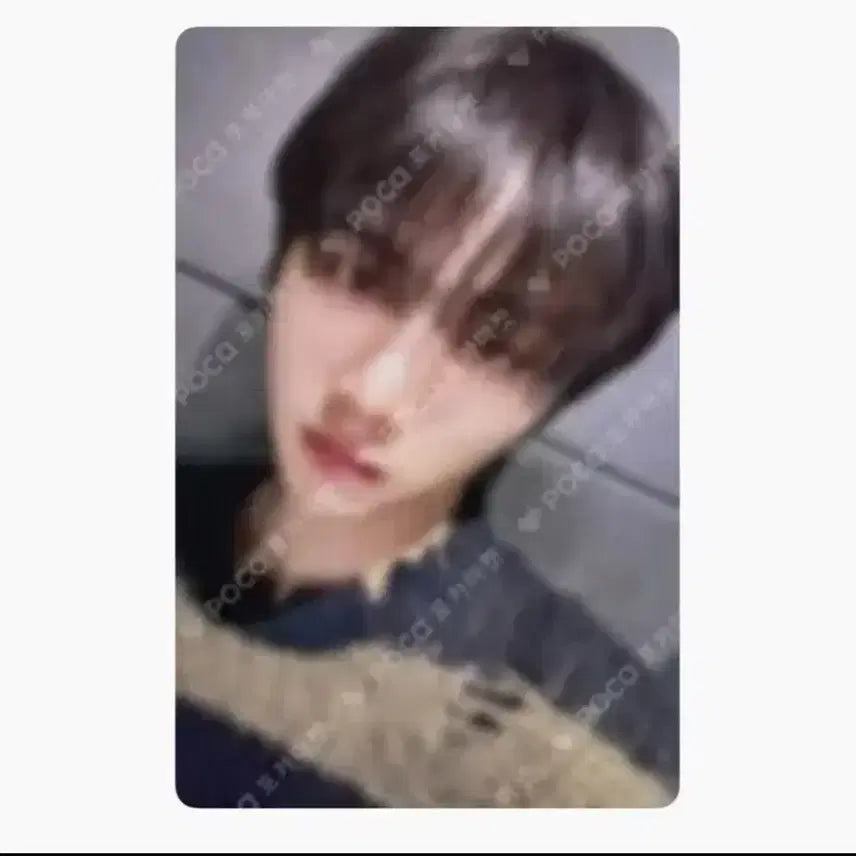 보넥도 태산 일본 포카