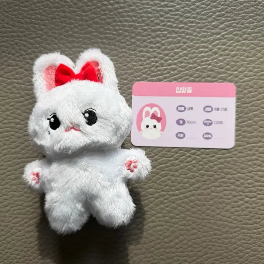 아이브 장원영 녕뽀