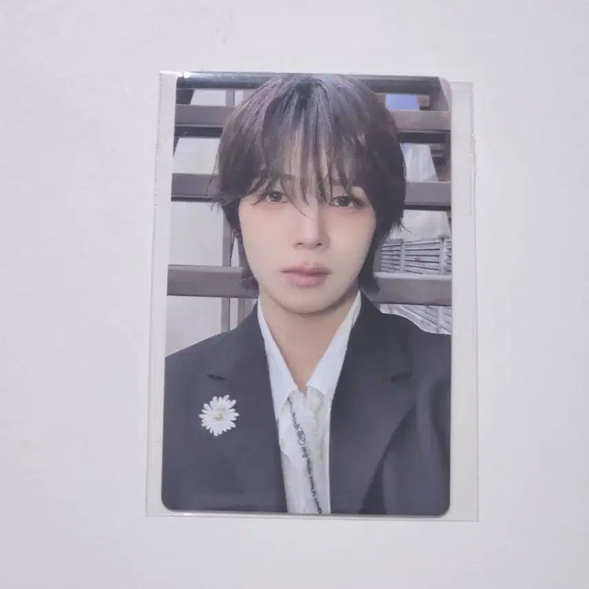 앤팀 케이 백투라이프 위버스 특전 포카