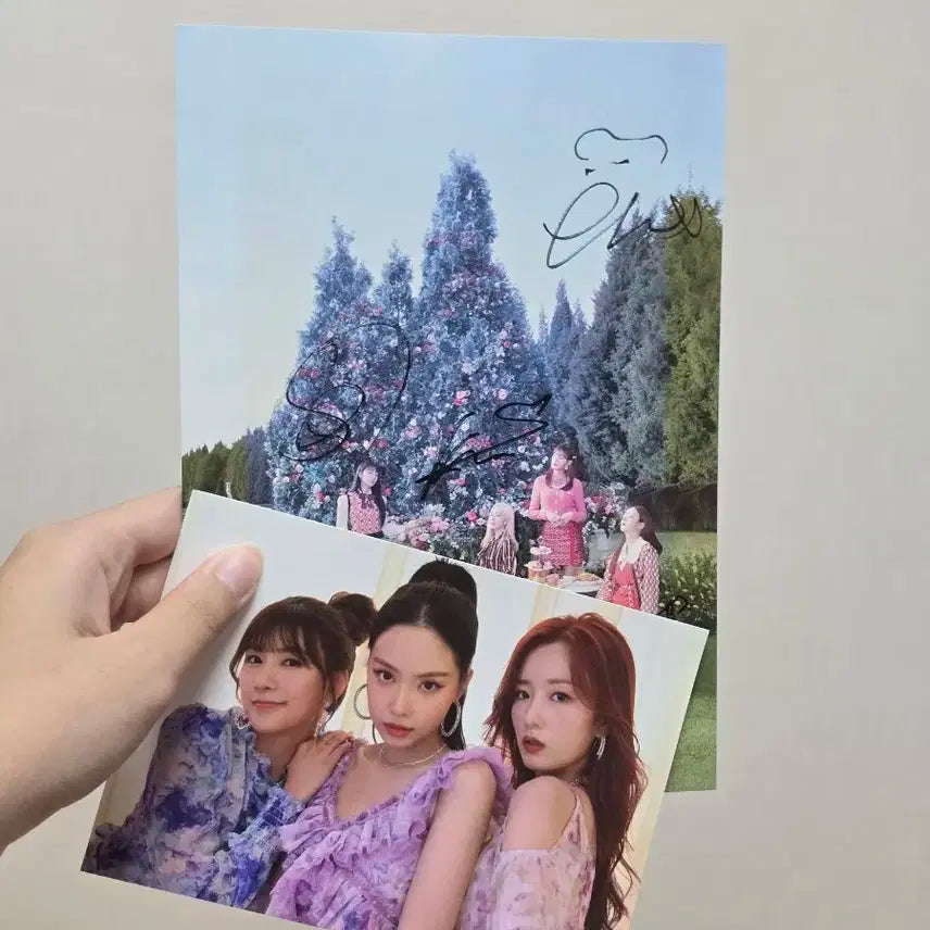 에이핑크 덤더럼 친필 싸인지 판매 (앨범X)