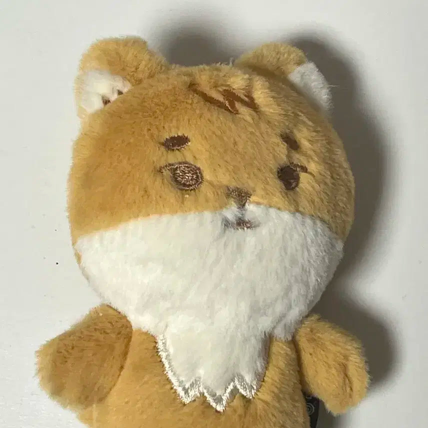 데이식스 앙콘엠디 손가락인형 케