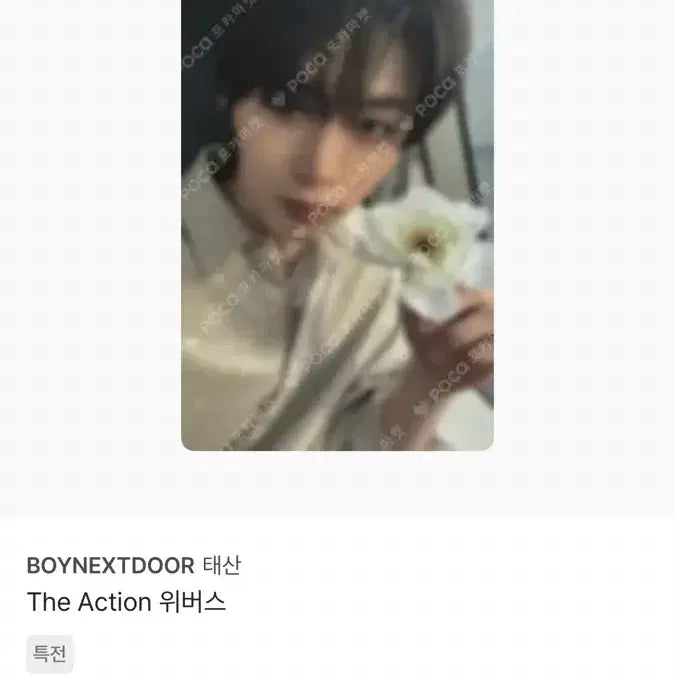 디액션 the action 위버스 특전 태산 포카 보이넥스트도어