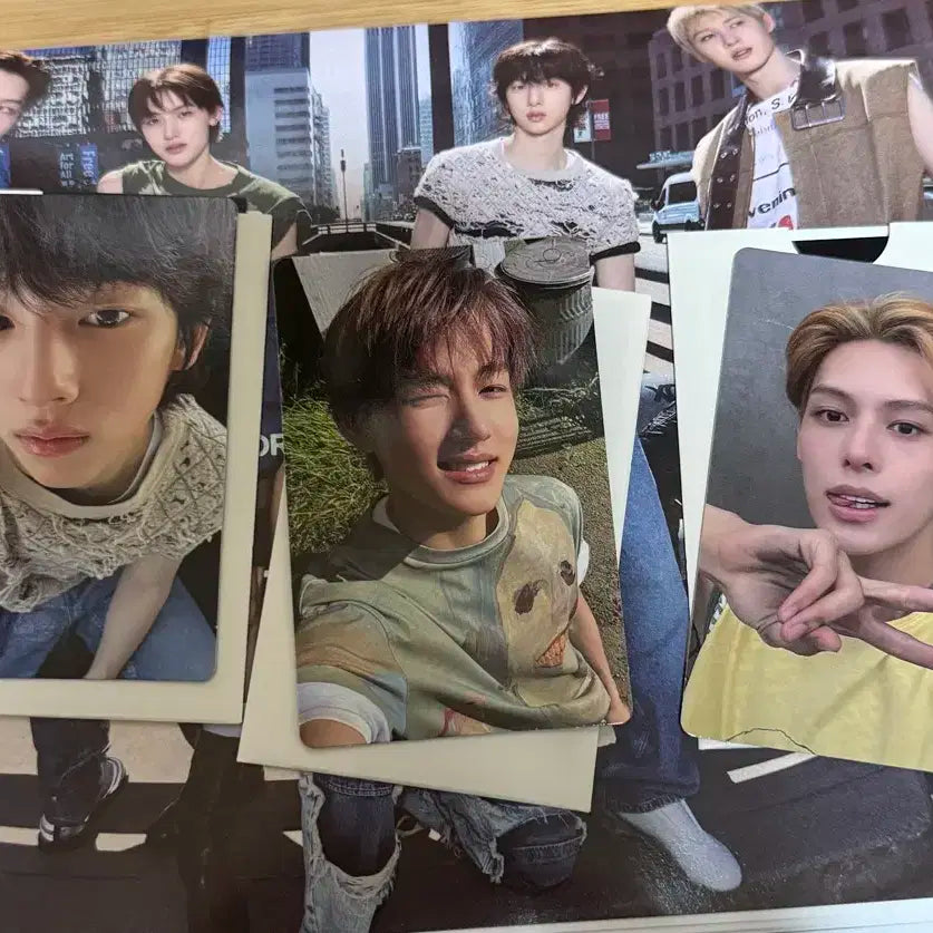 코르티스 포카 앨범 일괄