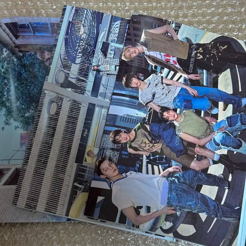 코르티스 포카 앨범 일괄