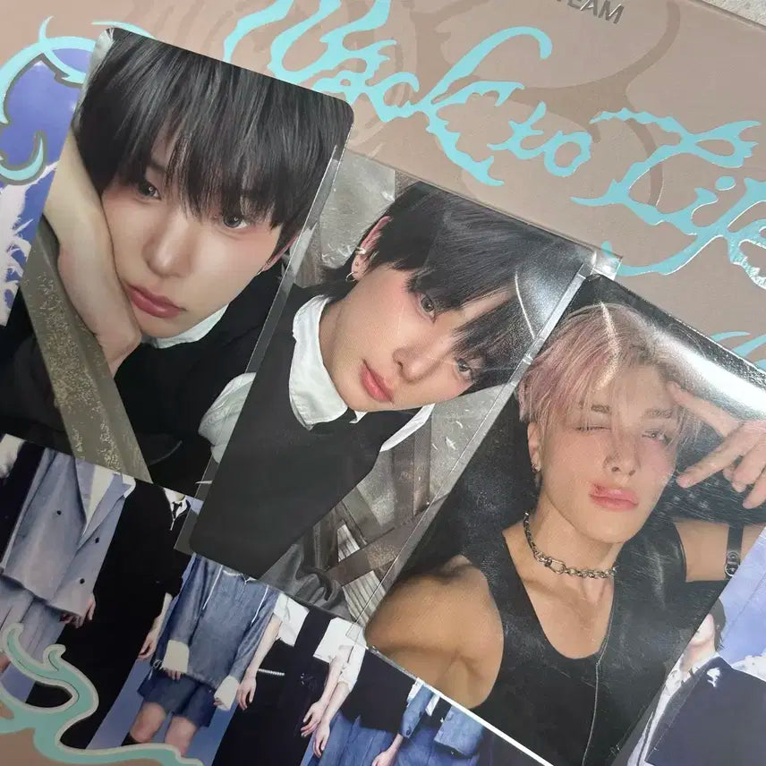 앤팀 하루아 마키 위버스 특전 백투라 일괄 양도