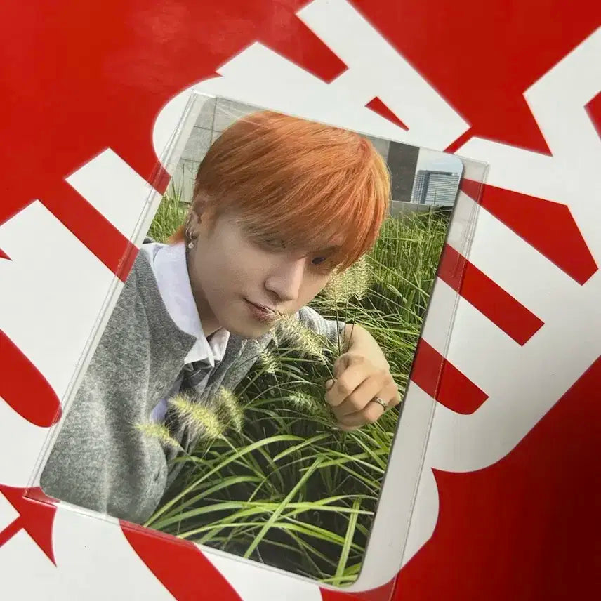 보이넥스트도어 보넥도 리우 쇼케 쇼케이스 라이브 특전 포카 양도