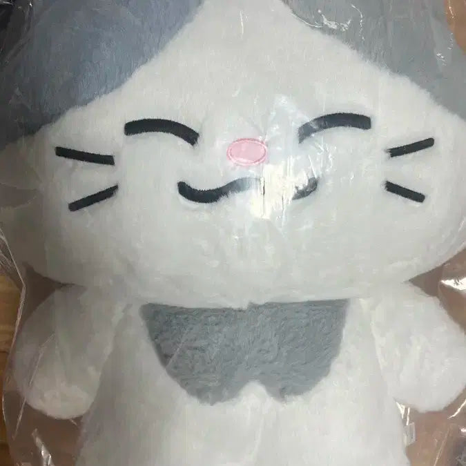 미개봉)엔시티드림 천러 러묘 대형 인형