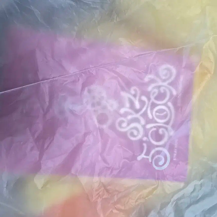 스트레이키즈 스키주 뽁아리 테디베어