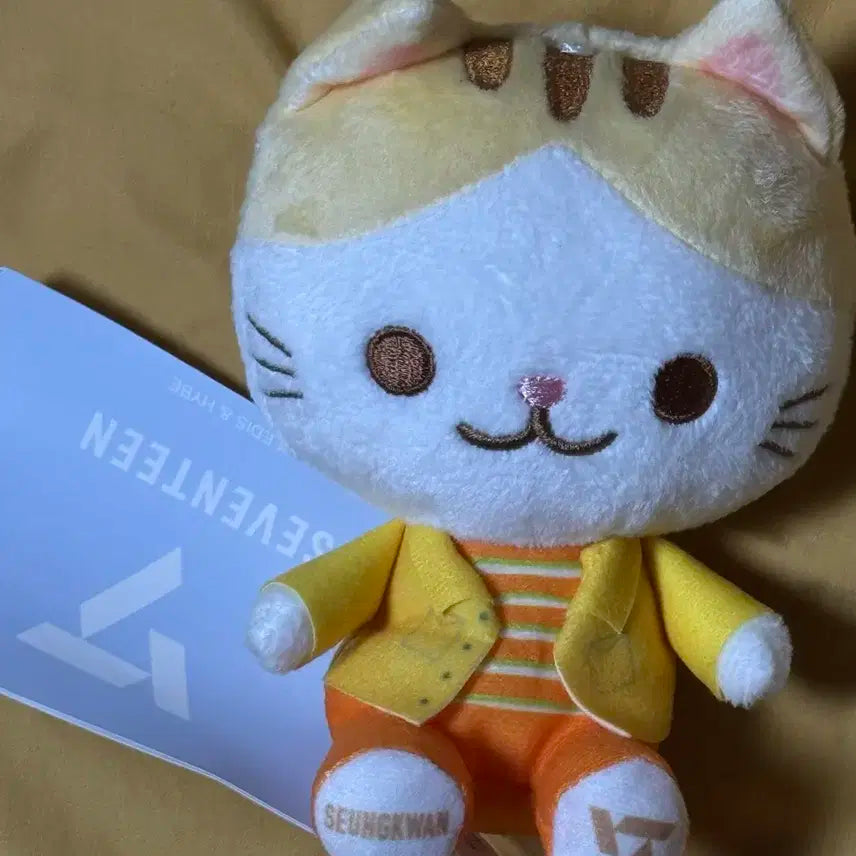 세븐틴 일본 세가 섹터 17 고양이 인형 승관