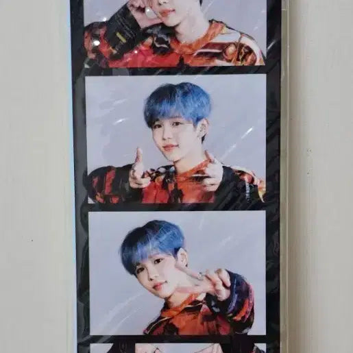 미개봉) 라이즈 쇼타로 4컷/증명사진