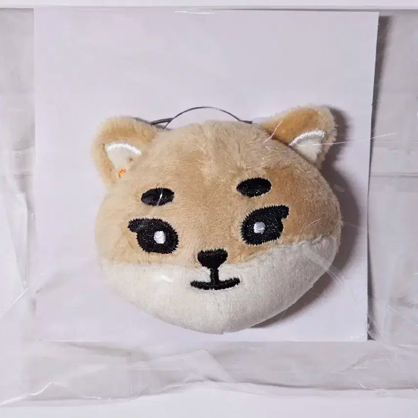 데이식스 데니멀즈 소프트뱃지 케 영케이