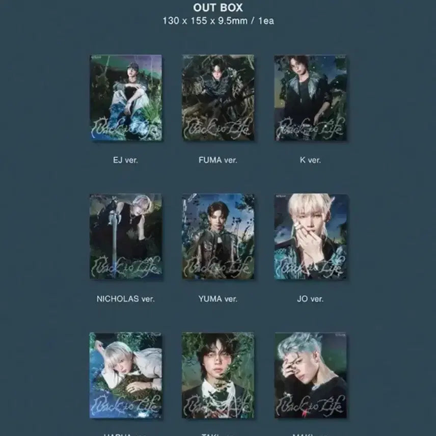 앤팀 하루아 미개봉 back to life 앨범 roar ver