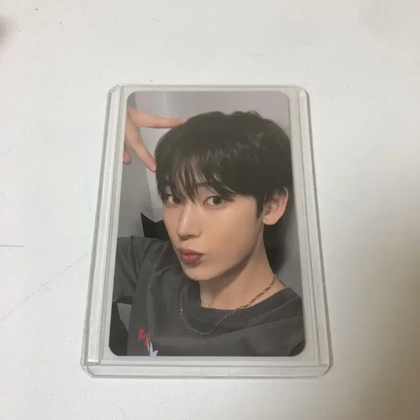 엔하이픈 선우 엔진존 포카 양도