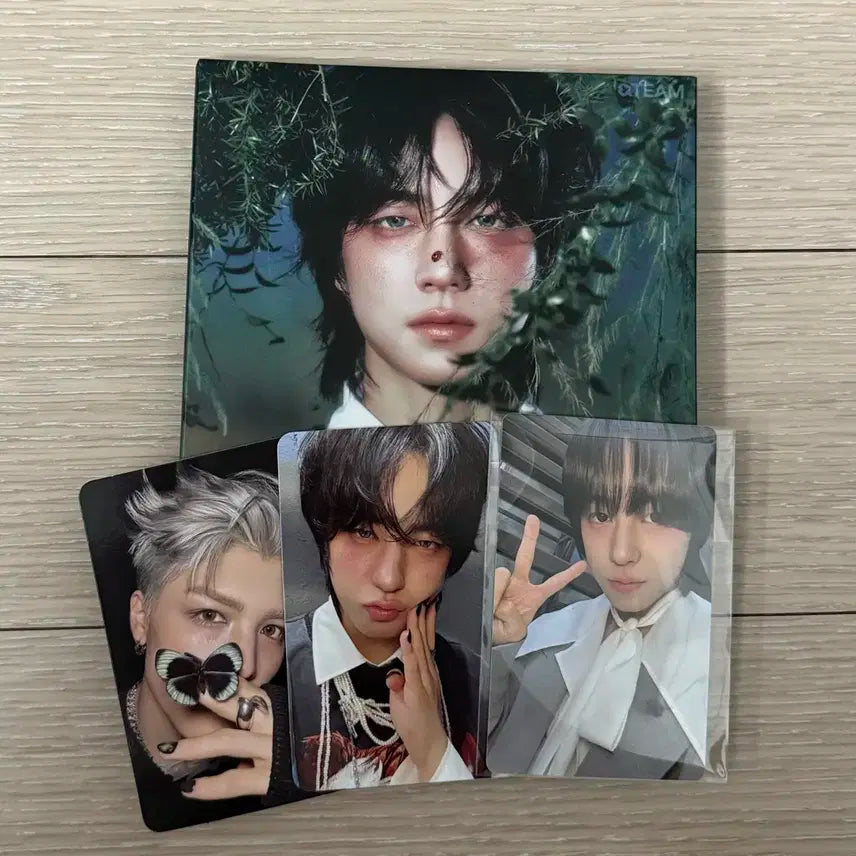 앤팀 타키 백투라이프 roar 앨범 위버스 특전 포카 미공포 일괄 양도