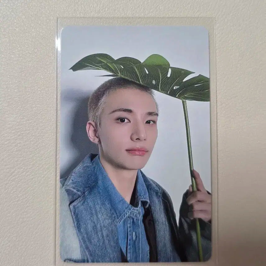 도미네이트 시즈오카 회장포카 스트레이키즈 현진