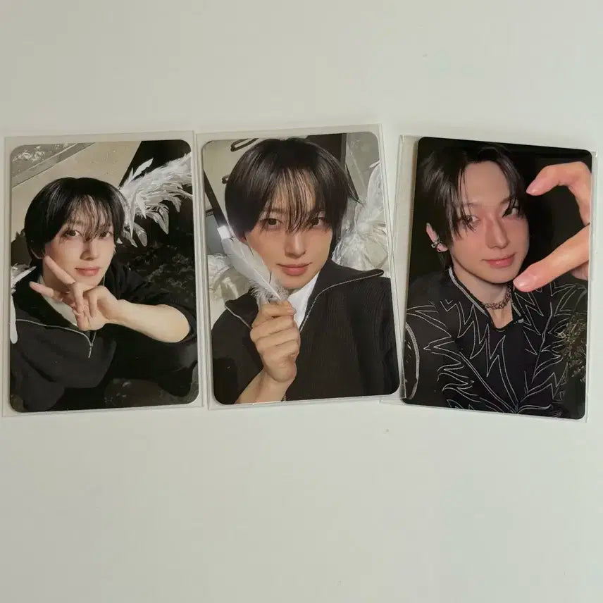 앤팀 백투라이프 후마 위버스 앨범 특전 포카 gaze 앨포