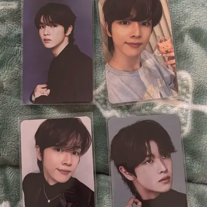 라이즈 성찬 포카 일괄