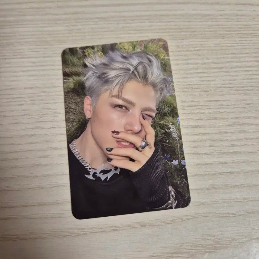 앤팀 마키 백투라이프 백투라 위버스 특전 미공포 포카