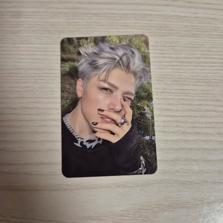 앤팀 마키 백투라이프 백투라 위버스 특전 미공포 포카