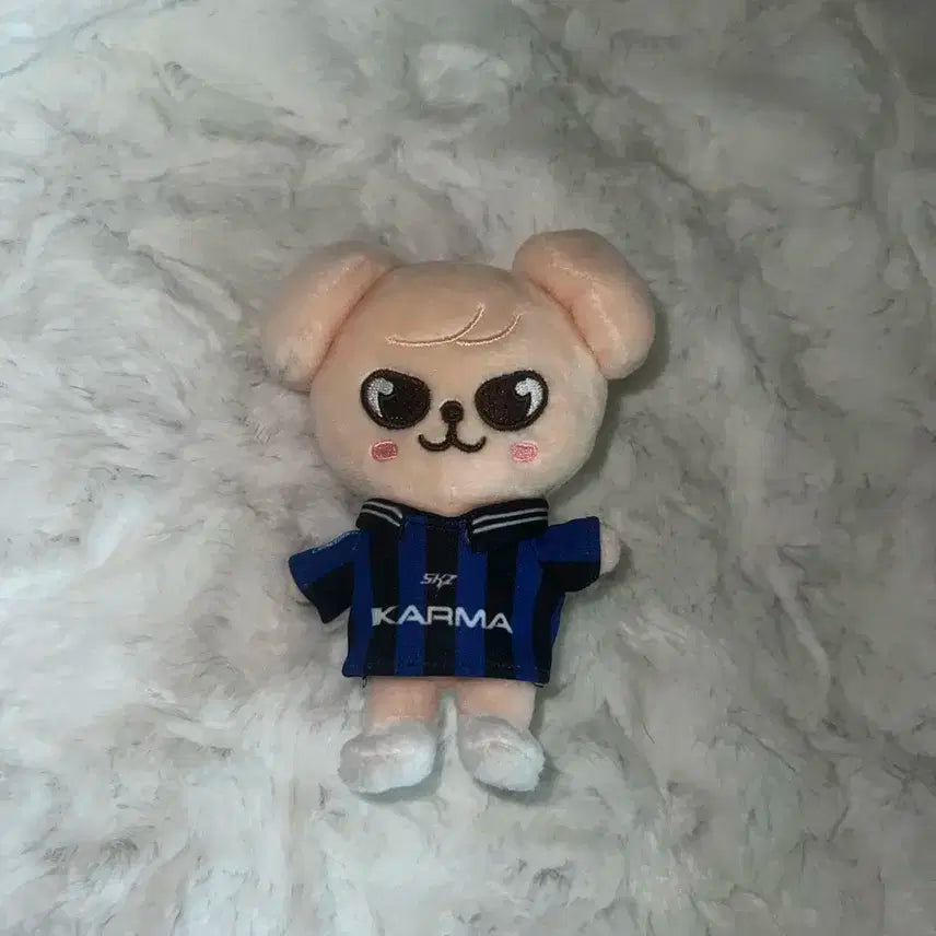 스트레이키즈 스키주 카르마 퍼핌