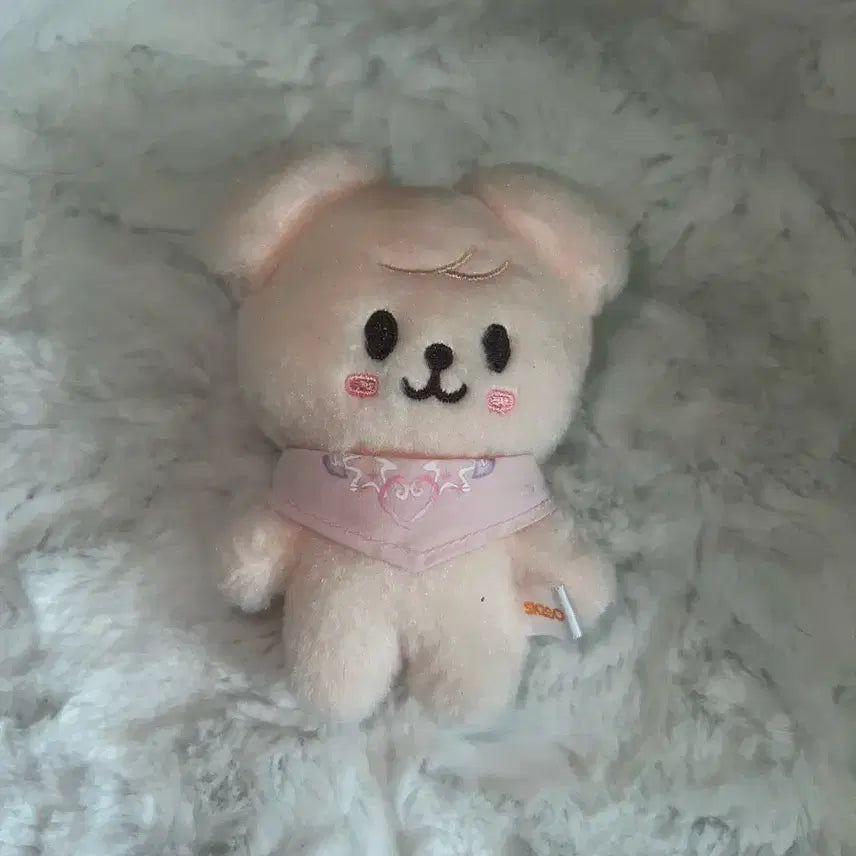 스트레이키즈 스키주 콩키주 베이비 퍼핌